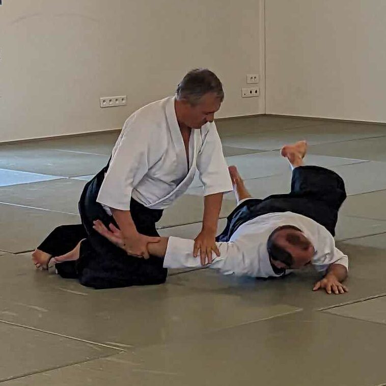 Stage d'Aïkido Enfants/Adultes
